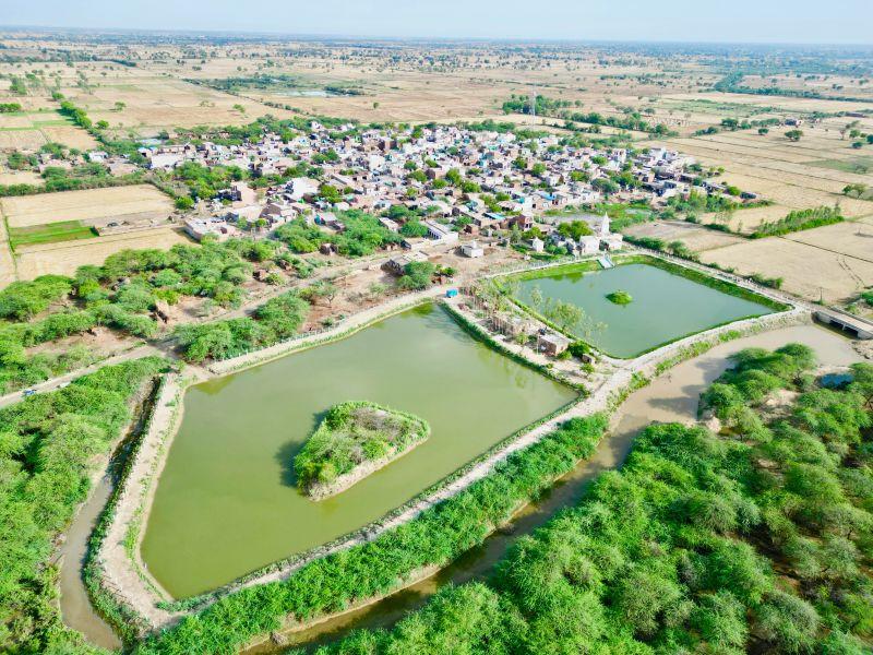 Pond Survey